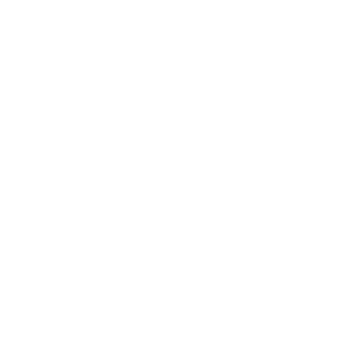 MatvejOrigami's emblem