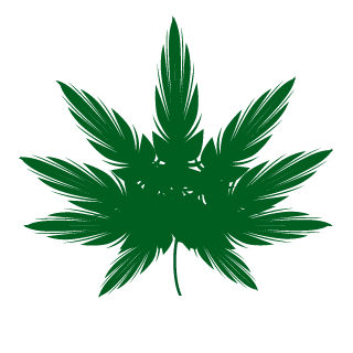 2Lioo's emblem