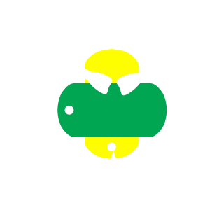-ASA-Marcello's emblem