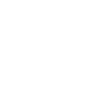Flugens's emblem