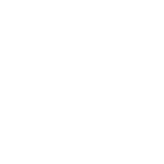 Abramovich1234's emblem