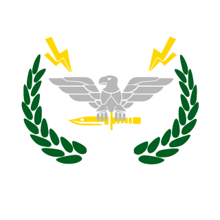 OverlyAmericanN's emblem