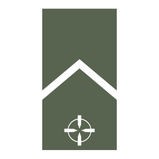 NOSRETEPs's emblem