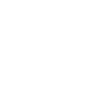 DarkSoulJr's emblem