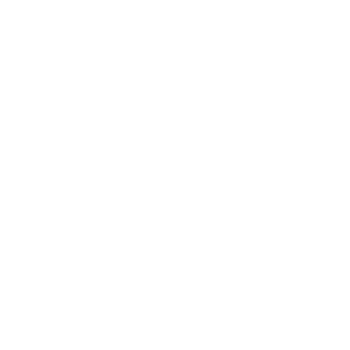 9580004ef8f9b0b8c8721387a2342d5b's emblem