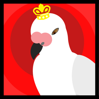 Korean Pigeon 999's emblem