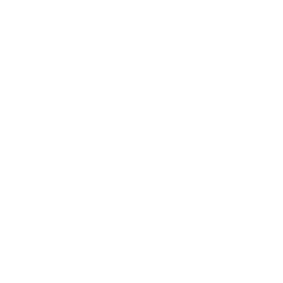Courier_on_T90's emblem