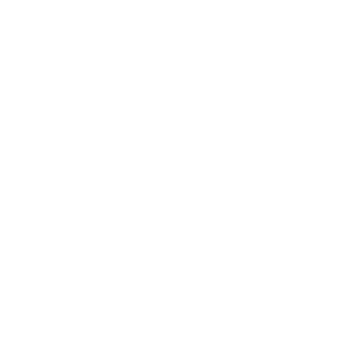 fastrasing2016's emblem