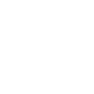 solidoll's emblem