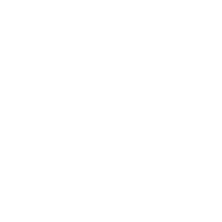 1af1713ca95654aa's emblem