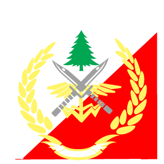 PhantomStorm289's emblem