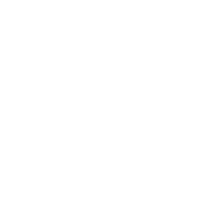 Ant1Fl4g17's emblem