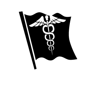 robopingvin's emblem