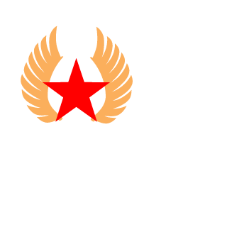 Pro100LepriK's emblem