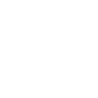 SethBunion's emblem