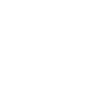 NvZp's emblem