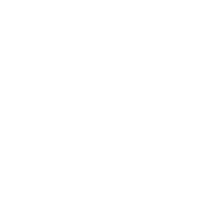 joey9663's emblem