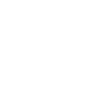 Metro2005's emblem