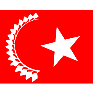 SaidowTR's emblem