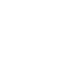 Michanik35rus's emblem