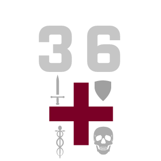 SurfaceThreeSix's emblem
