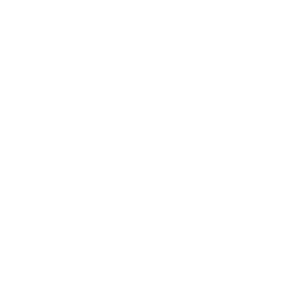 furydivine's emblem