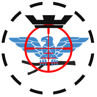 Boeira13's emblem