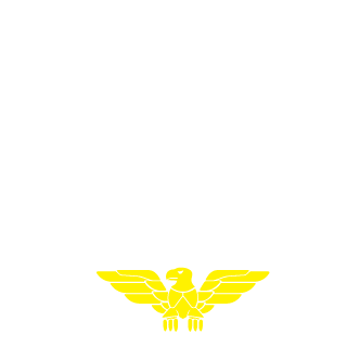 MAZn-Sk's emblem