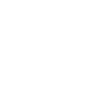 Dibague's emblem