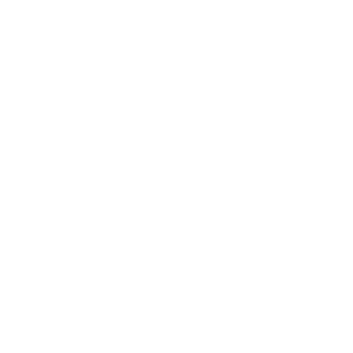 S_xDenier's emblem