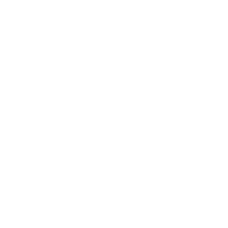 Tinzam's emblem