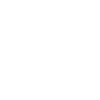 Real_Maxxximiron's emblem