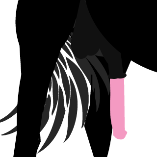 Kingfish647's emblem