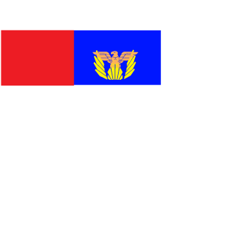 TTV_FortiFA1's emblem