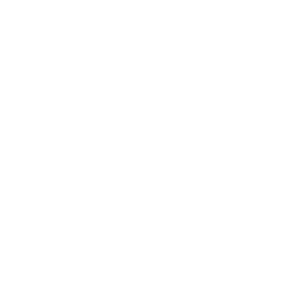 TheQuickSalter's emblem