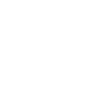 Turtle9BR's emblem
