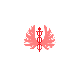 0812c08976eedd13's emblem