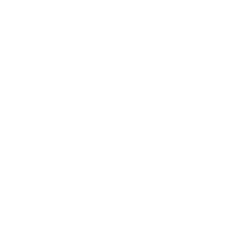 FD_0120's emblem