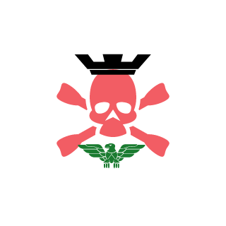 Playa1Fly's emblem