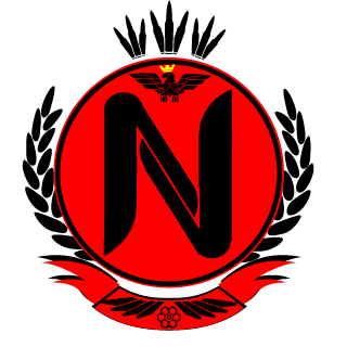 N3_GamaR's emblem