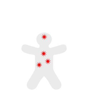 statedecho's emblem
