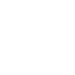 sweatynoodlez's emblem