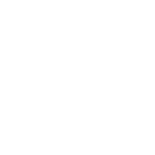 bureiz7777's emblem