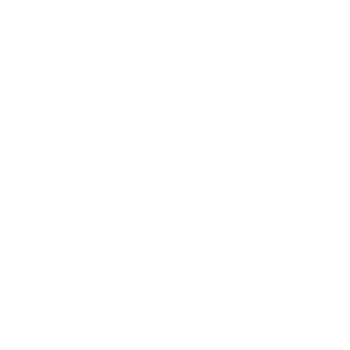 NineTi's emblem