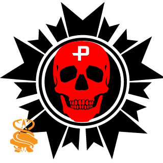 DesturbSkrr's emblem
