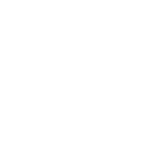vispieter's emblem