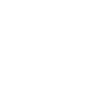 shimmysoft1982's emblem