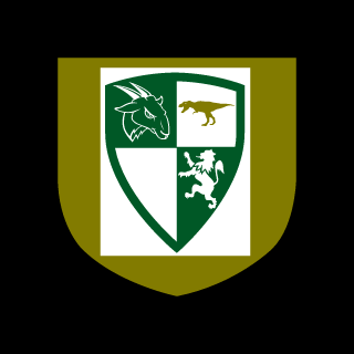 Lt321 BAG's emblem