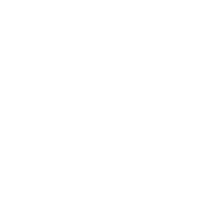 1BuRnBuLL's emblem