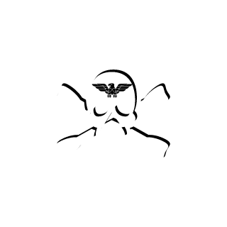 500AZIZ's emblem